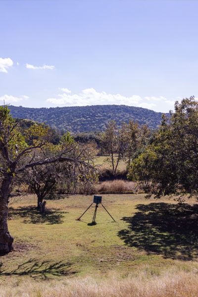 View from the King Cabin